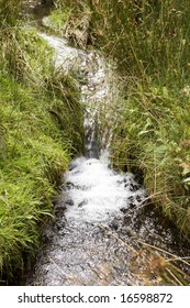 small stream running through grassy field in the summer