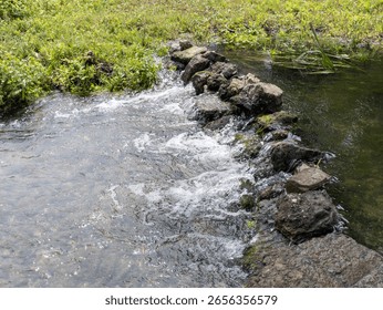 A small stream running through a lush green field.