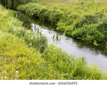 A small stream running through a lush green field.