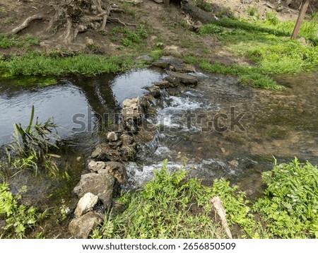 A small stream running through a lush green field.