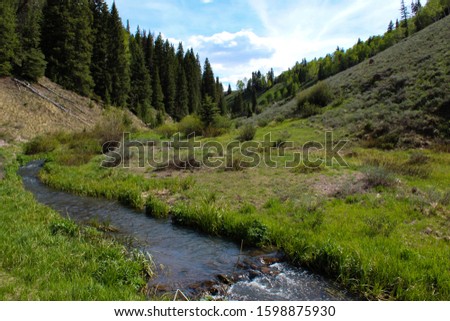 Small stream running through an open valley in the mountains near Cimarron, Colorado