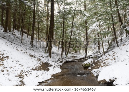 small stream running through snow covered forest