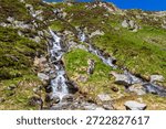 Small stream rushing down from a mountain in the Swiss Alps