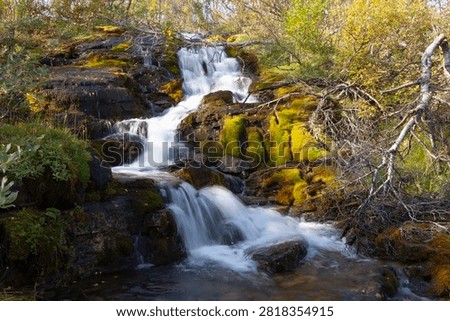 A small stream that drains part of a mountainside. Cliffs and moss-covered rocks shape the course of the stream. Autumn. 