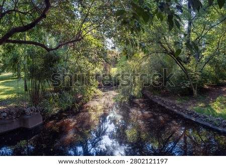A small stream that runs through the immense Retiro Park in Madrid