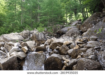 Small stream trickling down a rocky hillside in a lush green forest. Stream of clear fresh water flowing over big stones in a dense forest. Small creek rushing over mossy boulders surrounded by tall green trees.