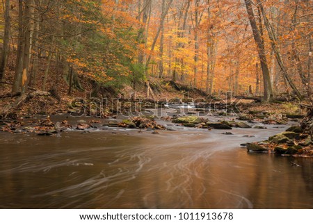 A small stream tumbles down the valley in the Catoctin mountains in the colorful autumn