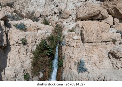 Una pequeña corriente agua