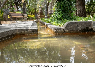 A small stream of water flows through a park. The water is murky