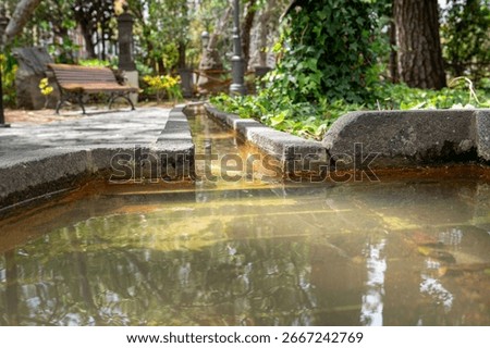 A small stream of water flows through a park. The water is murky