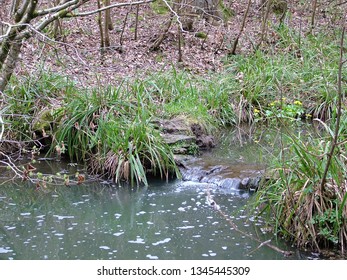 Small Stream Waterfall