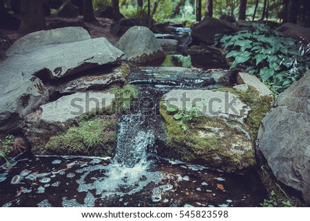 The small stream in the woods
