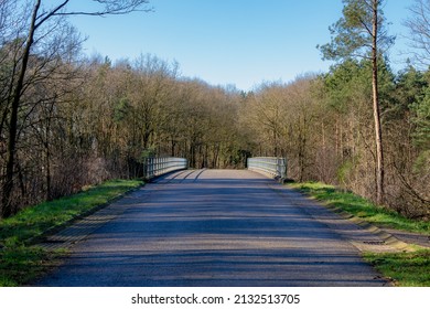 Small street through the forest and the bridge crossing another road line, Sunny day in winter with landscape view with a row of tree on the side of the road in Dutch countryside, Netherlands.