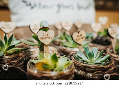 The small succulent wedding favors potted plant - Shutterstock ID 2218727217