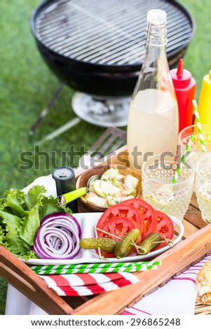 Small summer picnic with lemonade and hamburgers in the park.