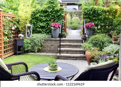 Small summertime townhouse garden, with blooming perennial lavender and begonia flowers. 