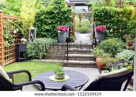 Small summertime townhouse garden, with blooming perennial lavender and begonia flowers. 