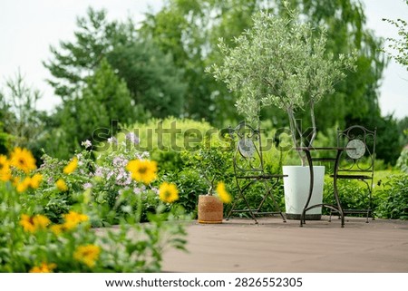 Small table and chairs stand on a wooden garden terrace surrounded by lush greenery and potted plants. Cozy outdoor seating area creates a summer retreat.