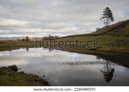Small tarn below School Knott and Grandsire with trees on the right