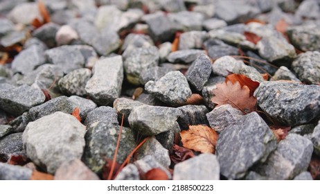 Small Tiny Crushed Granite Gravel Pebble Rocks Push Forward Low Angle