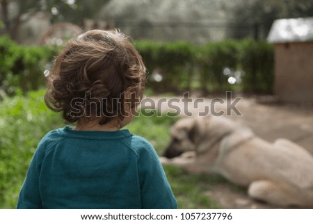 Small Toddler Standing near Big Dog in Garden