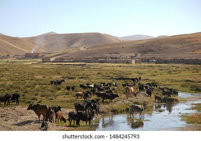 1,411 Afghanistan village Images, Stock Photos & Vectors | Shutterstock