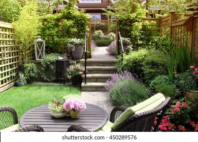 Small townhouse perennial summer garden