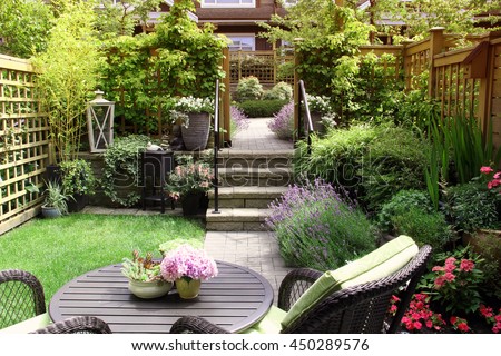 Small townhouse perennial summer garden