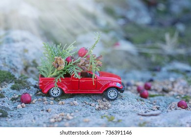 Small toy red car with christmas tree and red berries - Powered by Shutterstock