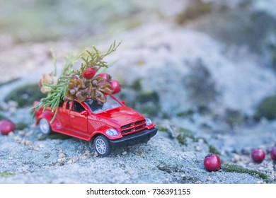 Small toy red car with christmas tree and red berries on rock - Powered by Shutterstock