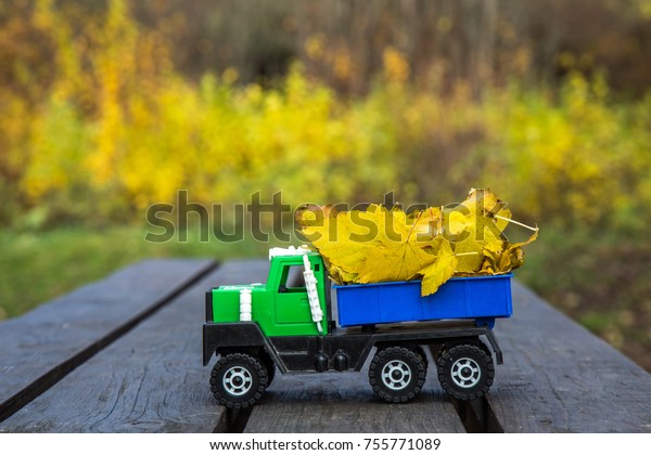 A small toy  truck is loaded with yellow fallen\
leaves. The car stands on a wooden surface against a background of\
a blurry autumn park. Cleaning and removal of fallen leaves.\
Seasonal works