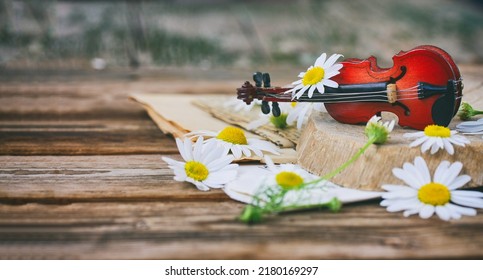 small toy violin, chamomile flowers, summer time melody concept, close-up, selective focus