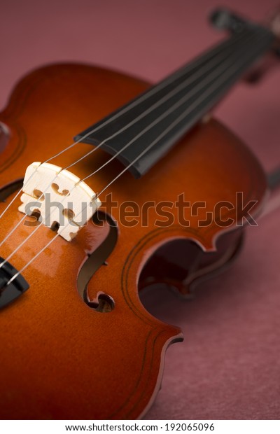 purple toy violin