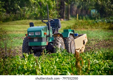 Small Tractor In The Field