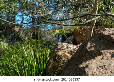 A small, tranquil waterfall flows behind large, textured boulders in a lush, vibrant green forest, creating a serene and secluded natural escape.