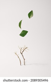 Small tree branch with green leaves flying off in the air on a beige background. Climate change creative concept