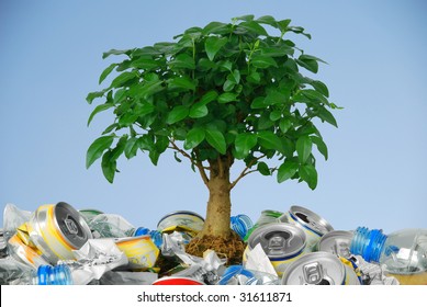 Small tree growing in rubbish - Shutterstock ID 31611871