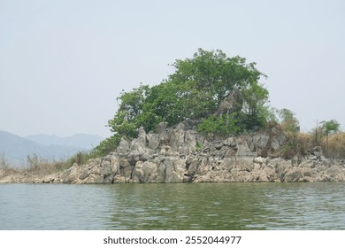 A small tree grows on a limestone island in the middle of the water, casting shadows in the still water.