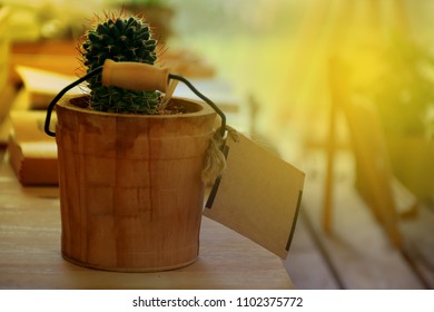 Small tree in a pot on the table,concept gardening in the office,love earth ,and green world