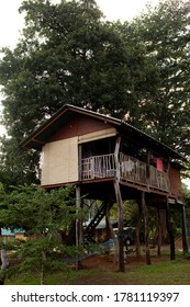 Small treehouse on stilts in a tropical forest
