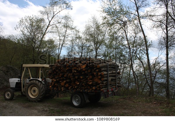 A small truck is filled\
up with a lot of logs. This truck will bring all pieces of wood to\
the town.  