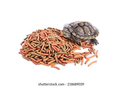 Small Turtle On A Pile Of Reptile Food Holding A Chunk Of It In Its Mouth, Isolated On White Background.