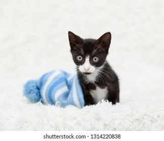 Small Tuxedo Kitten Laying Inside Of A Blue Striped Snow Hat, On Top Of A White Shag Rug.