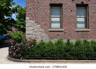 Small Urban Garden With Pink Rose Bushes Along An Old Brick Apartment Building In Astoria Queens New York