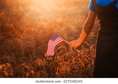 Small USA flag in female hand at sunset in a wheat field. - Powered by Shutterstock