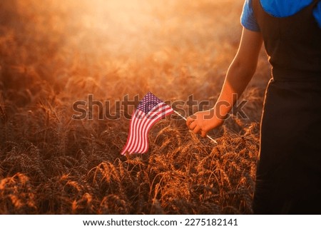 Small USA flag in female hand at sunset in a wheat field.