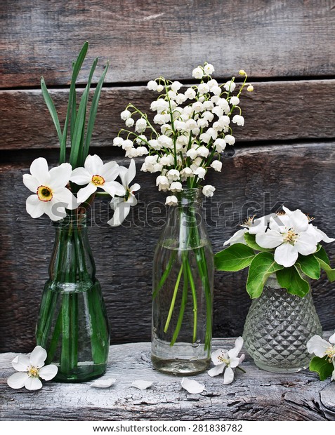 Small Vases Bottles Spring Flowers Flowering Stock Photo Edit Now