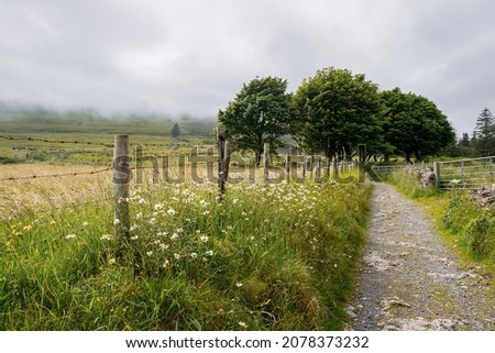 Small walking path with great view on beautiful country side with green fields separated by stone fence. Irish country side. County Sligo, Ireland.