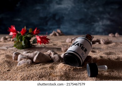 Small Water Container With Dropper Dispenser Lying On Desert Sand With Cactus Plant Against Leaden And Menacing Sky Background.Planetary Water Crisis, Water Rationing, Drought. Desertification.