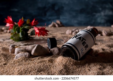 Small Water Container With Dropper Dispenser Lying On Desert Sand With Cactus Plant Against Leaden And Menacing Sky Background